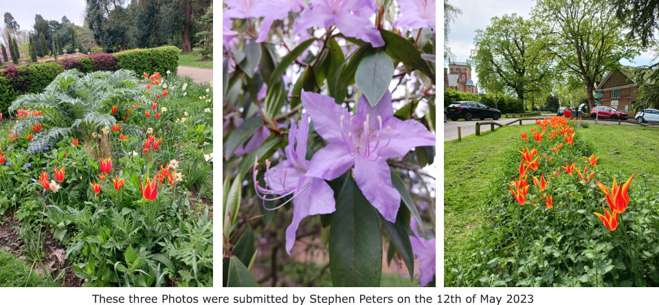 These three Photos were submitted by Stephen Peters on the 12th of May 2023