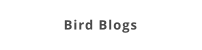 Bird Blogs